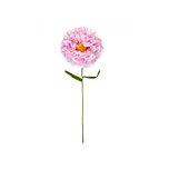 Μεγάλο Διακοσμητικό Λουλούδι Ροζ Τριαντάφυλλο