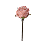 Ροζ κλαδί τριαντάφυλλο 30εκ