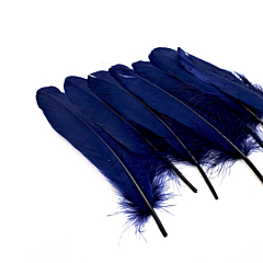 Πούπουλο φτερό μπλε σκούρο 15-20εκ 20τεμ