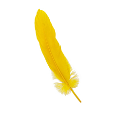 Πούπουλο φτερό κίτρινο 13εκ 18τεμ